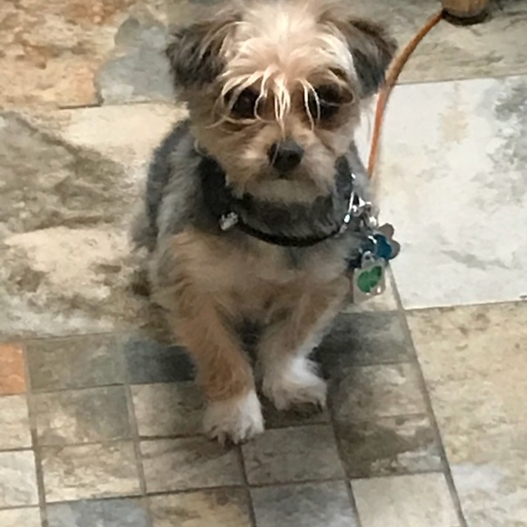 Meet your Posher, Sharon - Picture 1 of 2